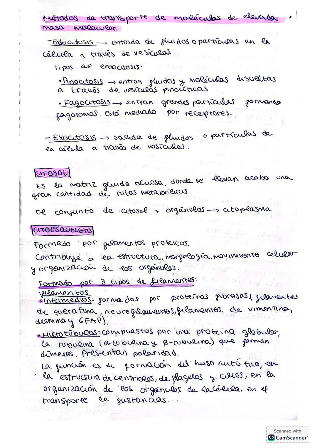 ## LA CÉLULA
La citología es la rama de la biología que estudia la estructura y función de la célula.
**Fundamentos de la teoría celular:*