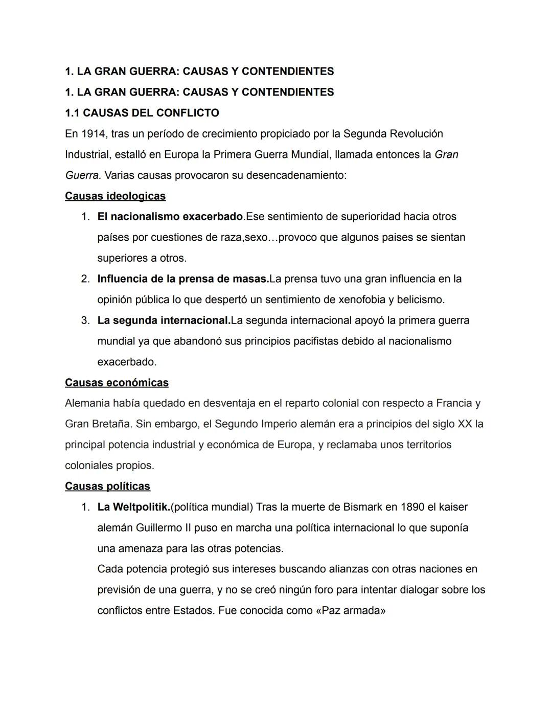 Causas y desarrollo de la 1 GUERRA MUNDIAL