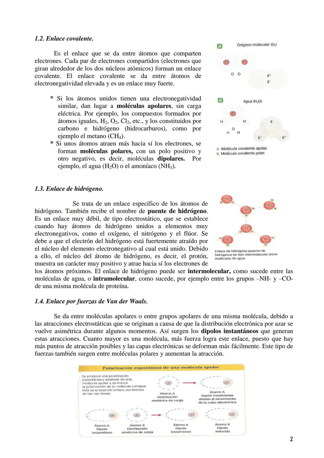 # TEMA 1 - BIOELEMENTOS, AGUA Y SALES MINERALES
## BLOQUE A. LAS BIOMOLÉCULAS
### Tema 1.-Bioelementos y biomoléculas.
1.- Los enlaces quí