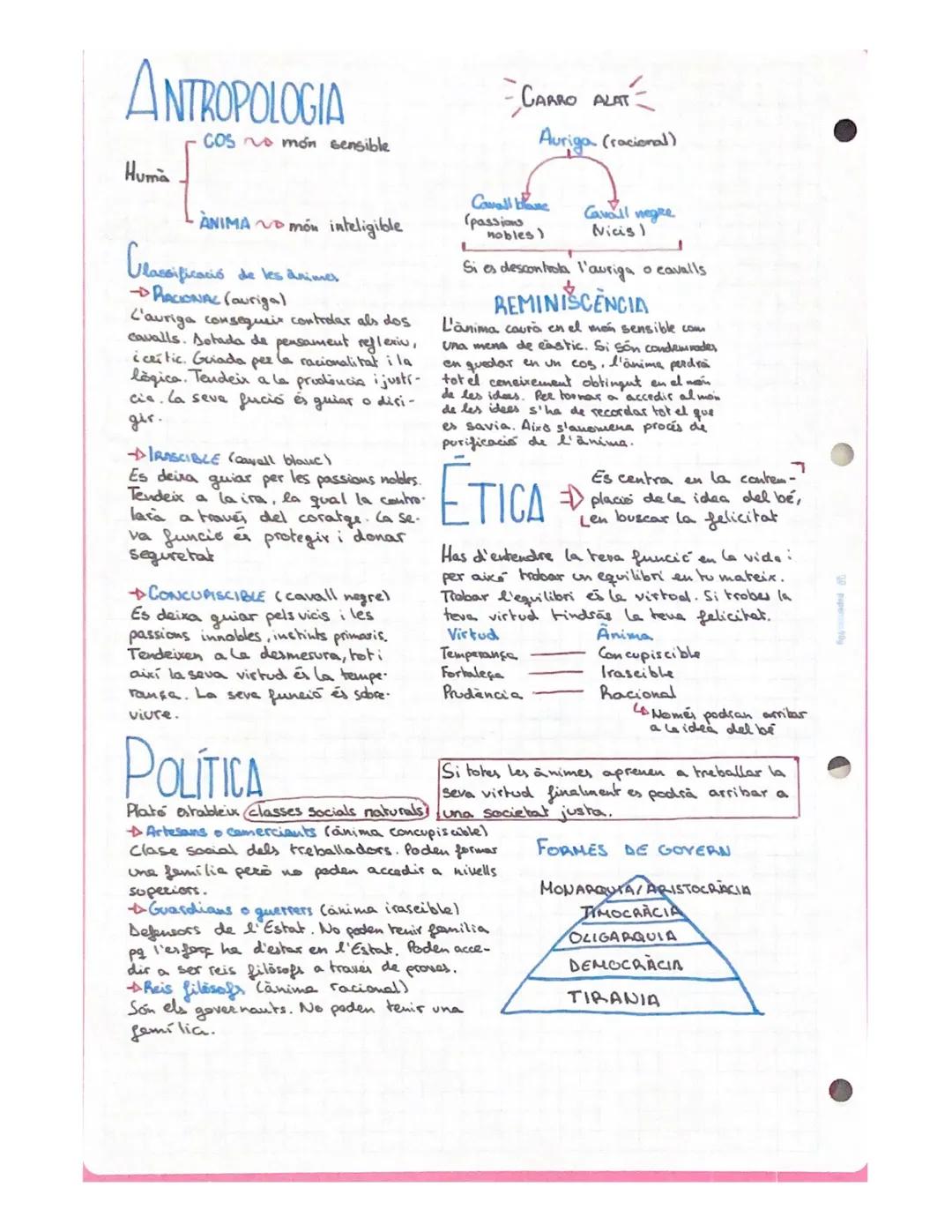 CONTEXT HISTORIC
Plató va ser un teóric
polític sorgit de l'antiga
grècia, Atenas.
METAFÍSICA
2 mons
Inteligible
Sensible
GRAU DE CONEDCEMEN