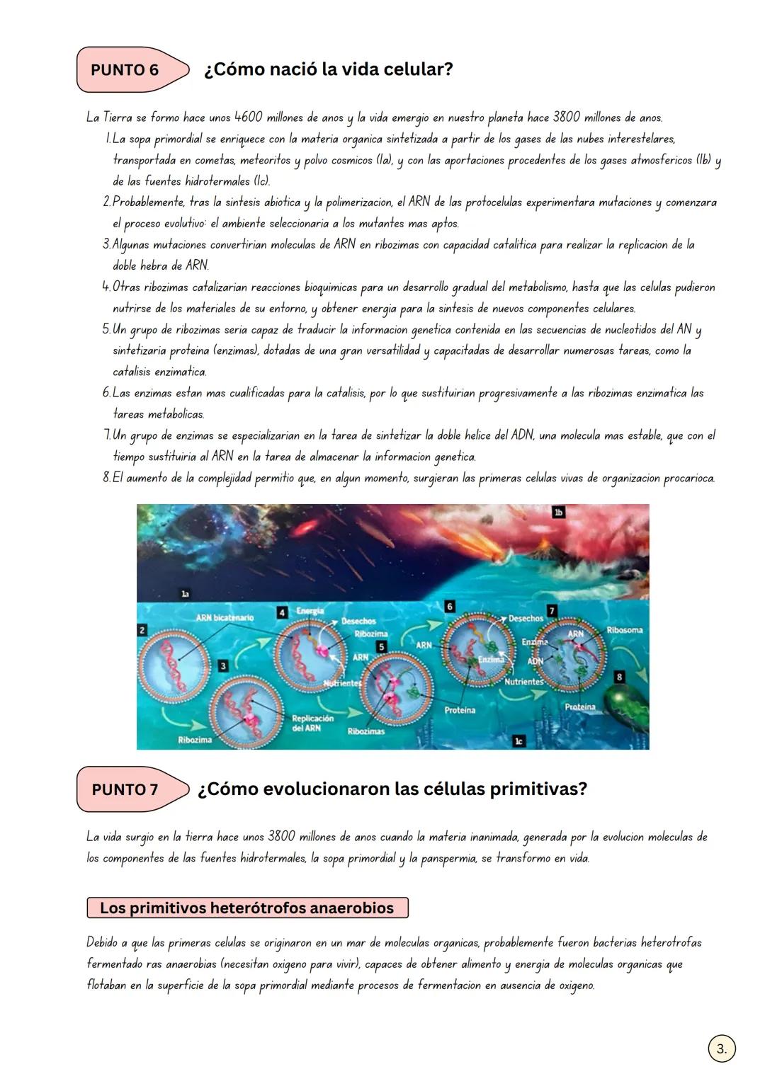 Name:
Date:
Class Set
¿CUÁL PUDO SER EL ORIGEN DE LA
PUNTO 1
VIDA EN LA TIERA?
La astrobiología
Es una disciplina que integra conocimientos