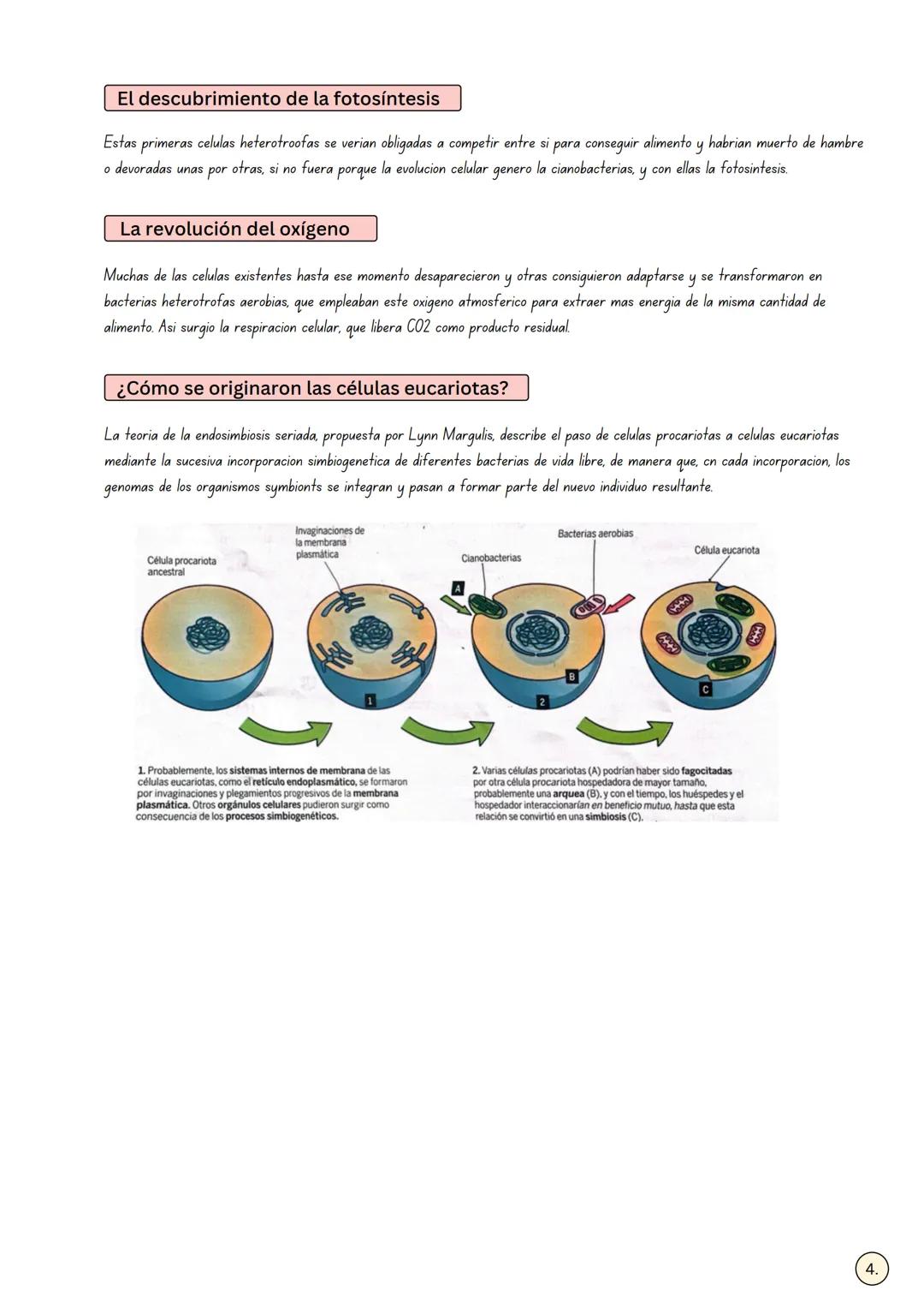 Name:
Date:
Class Set
¿CUÁL PUDO SER EL ORIGEN DE LA
PUNTO 1
VIDA EN LA TIERA?
La astrobiología
Es una disciplina que integra conocimientos