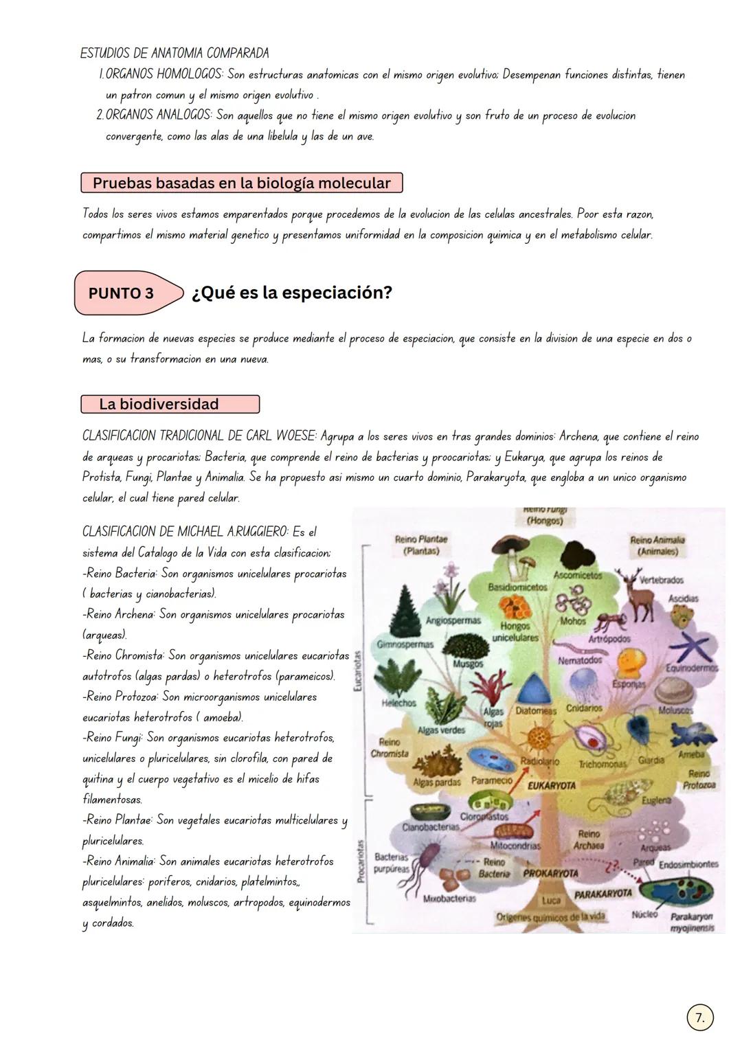 Name:
Date:
Class Set
¿CUÁL PUDO SER EL ORIGEN DE LA
PUNTO 1
VIDA EN LA TIERA?
La astrobiología
Es una disciplina que integra conocimientos