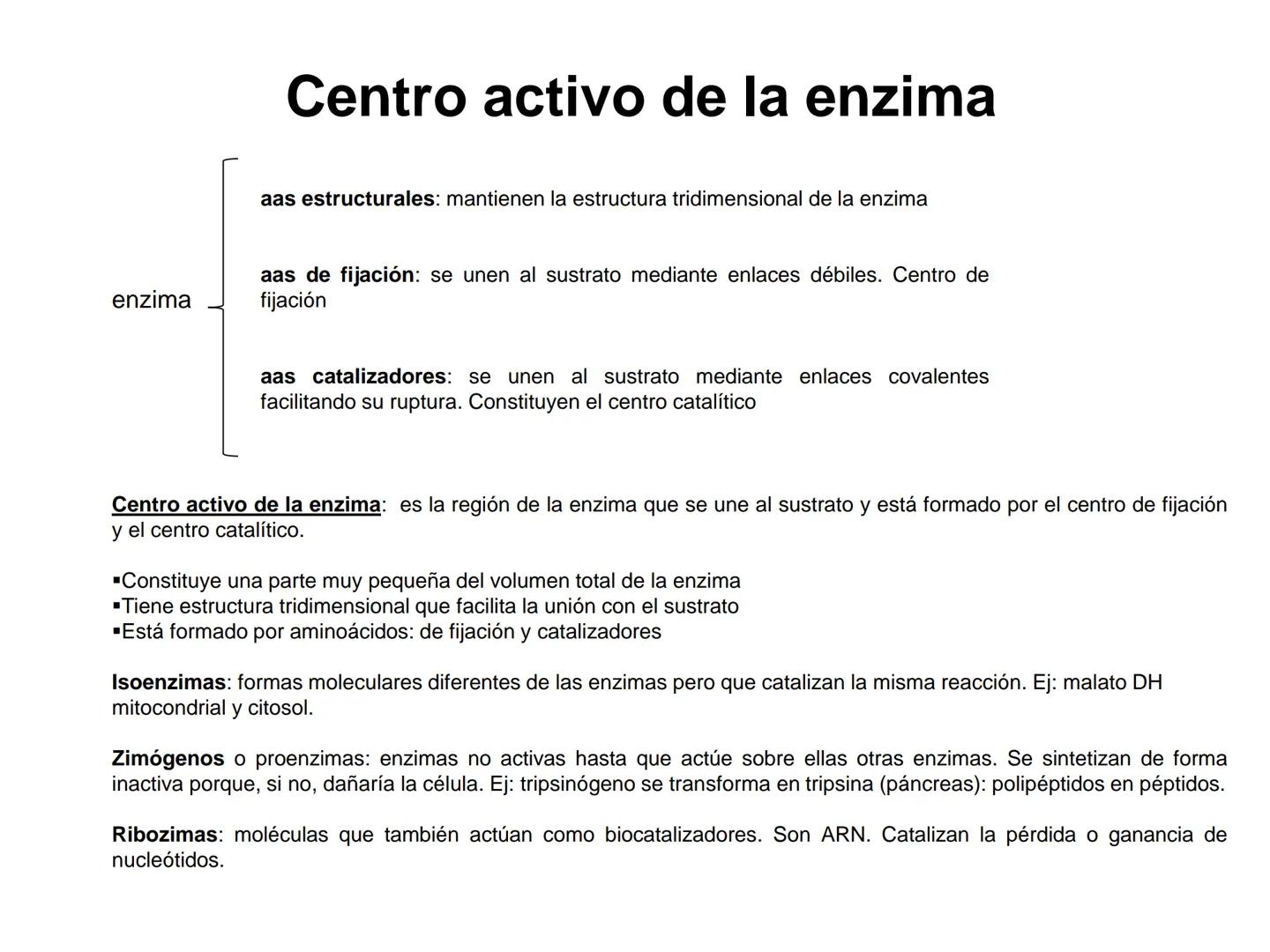 ENZIMA
Concepto de enzima y características.
Acción enzimática: energía de activación y estado de transición.
Tipos de enzimas.
Estructura