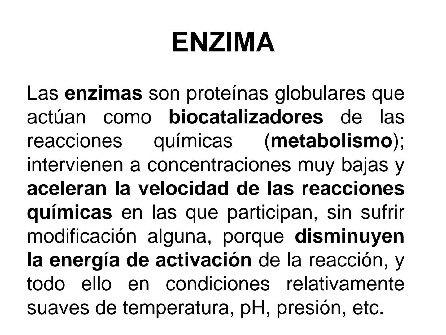 ENZIMA
Concepto de enzima y características.
Acción enzimática: energía de activación y estado de transición.
Tipos de enzimas.
Estructura