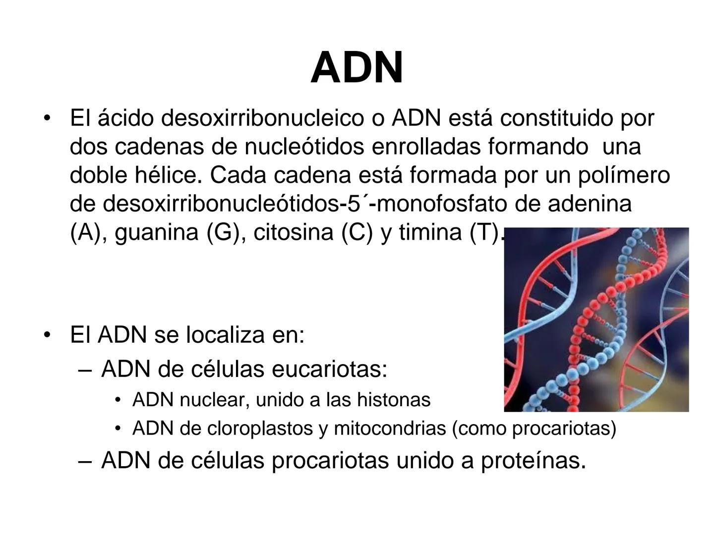 ÁCIDOS NUCLEICOS
1.- Composición: nucleósidos y nucleótidos
2.- Nucleótidos de interés biológico: ATP, AMPc, FMN, FAD, NAD,
NADP y Coenzima