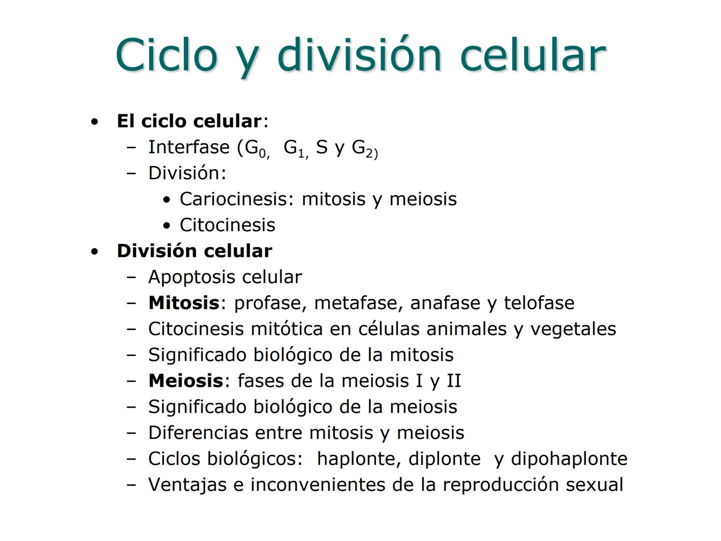 •
• Ciclo y división celular
El ciclo celular:
– Interfase (Go, G1, S y G2)
– División:
• Cariocinesis: mitosis y meiosis
• Citocinesis
• Di