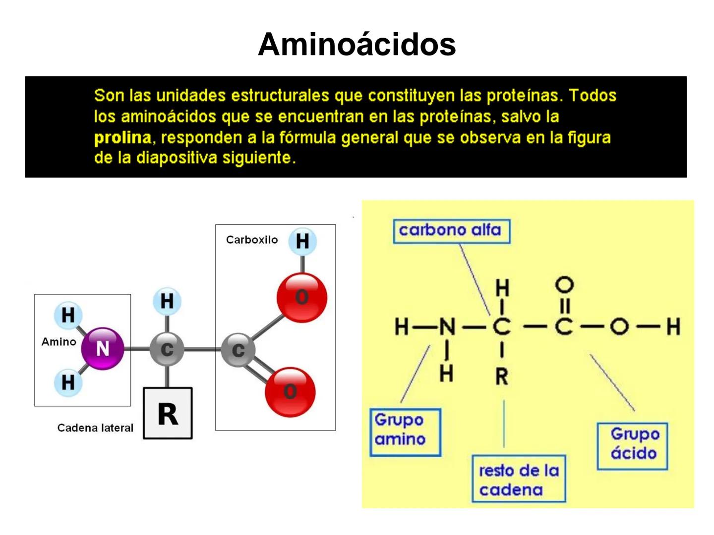 # Proteínas
1. Concepto de proteína y generalidades.
2. Aminoácidos
a. Propiedades físico: isomería espacial y óptica.
b. Propiedades q