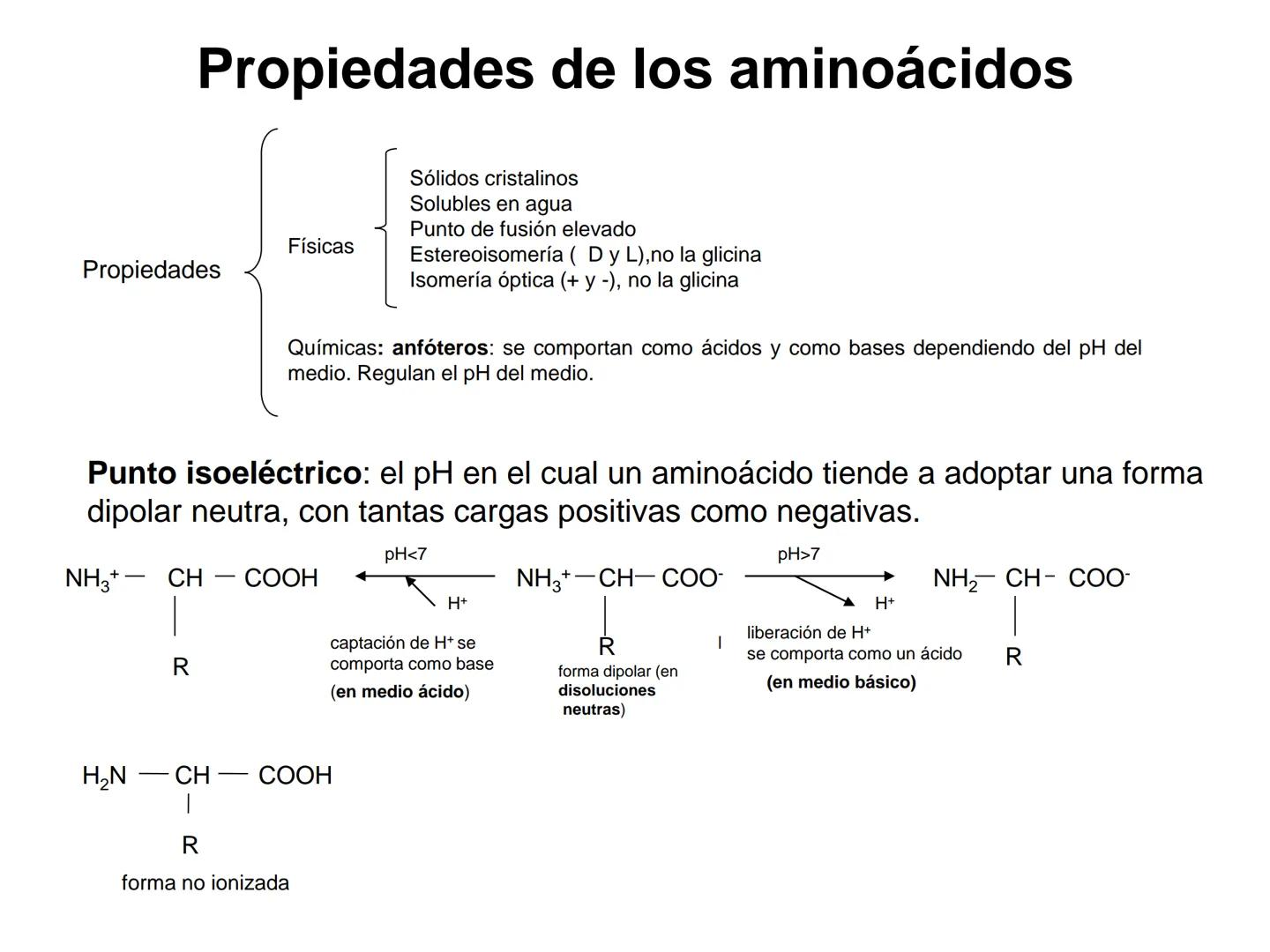 # Proteínas
1. Concepto de proteína y generalidades.
2. Aminoácidos
a. Propiedades físico: isomería espacial y óptica.
b. Propiedades q