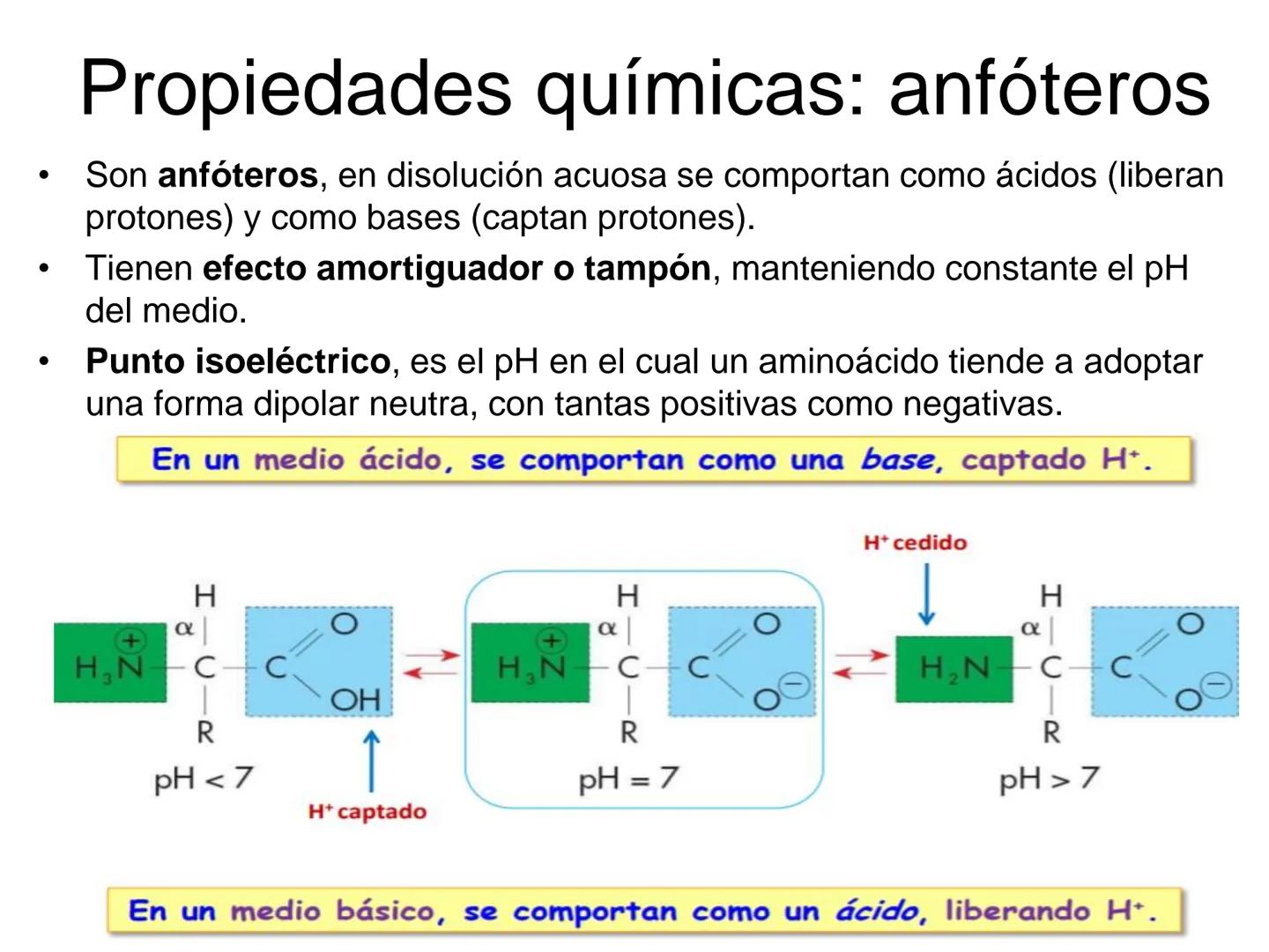 # Proteínas
1. Concepto de proteína y generalidades.
2. Aminoácidos
a. Propiedades físico: isomería espacial y óptica.
b. Propiedades q
