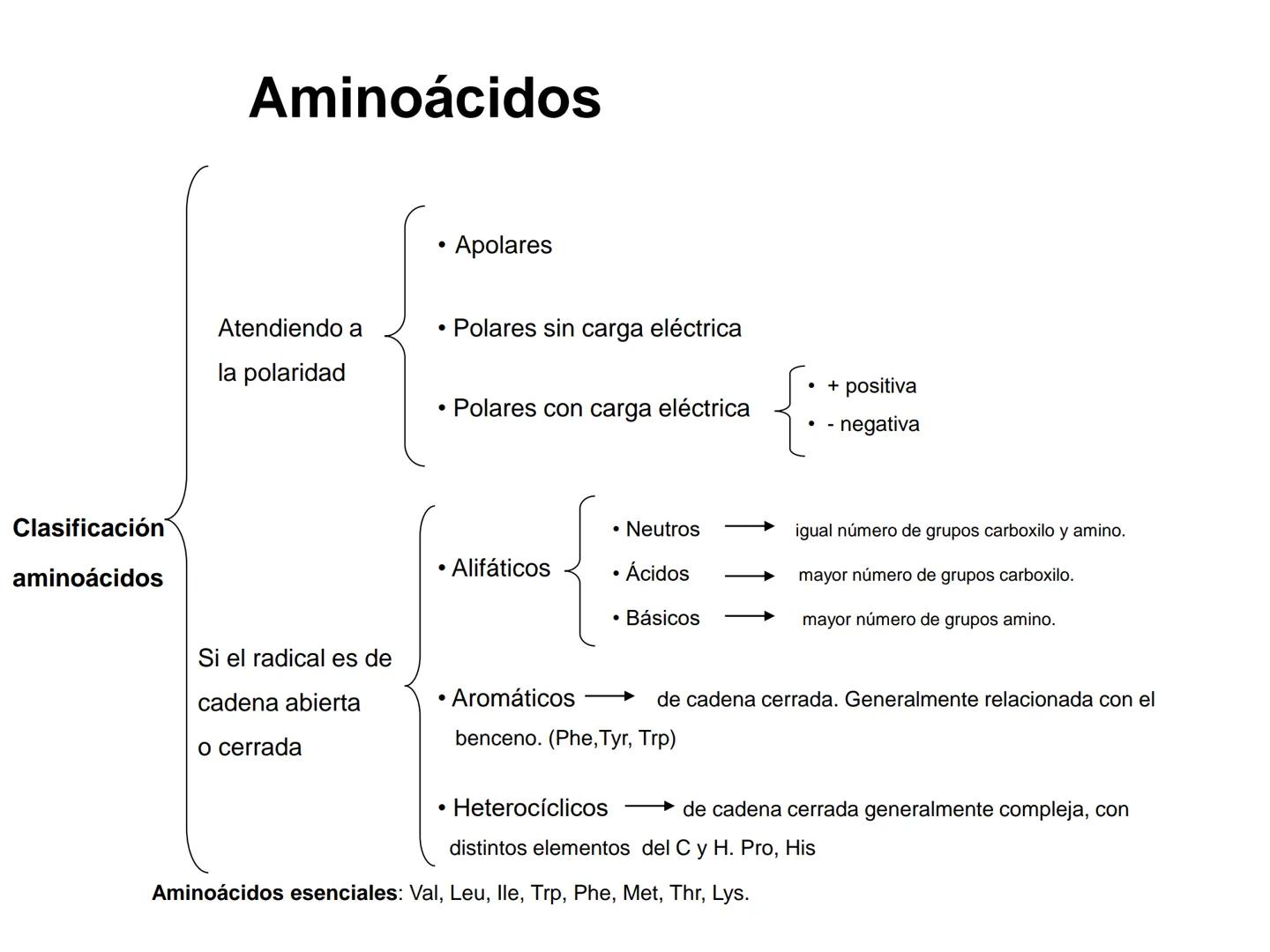 # Proteínas
1. Concepto de proteína y generalidades.
2. Aminoácidos
a. Propiedades físico: isomería espacial y óptica.
b. Propiedades q