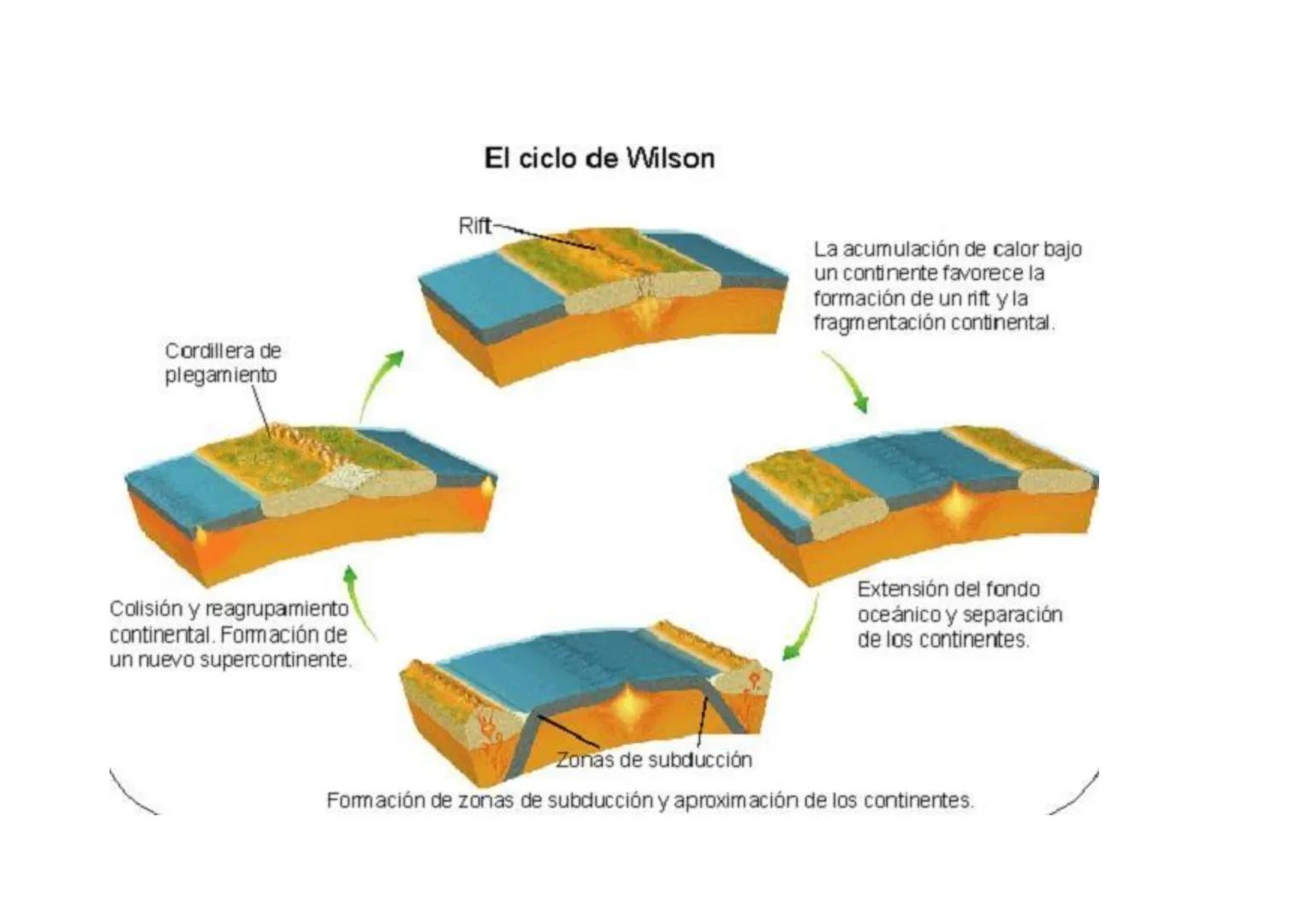 Cordillera de
plegamiento
Colisión y reagrupamiento
continental. Formación de
un nuevo supercontinente.
El ciclo de Wilson
Rift
La acumulaci
