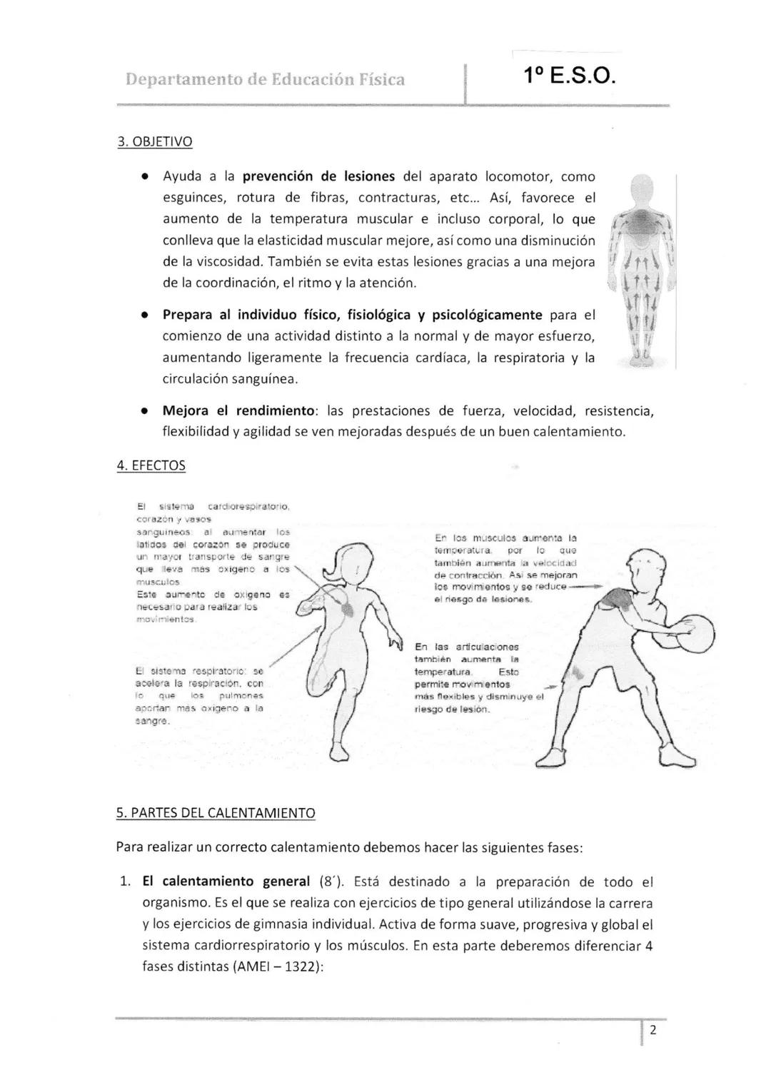 Departamento de Educación Física
TEMA
EL
CALENTAMIENTO
1º E.S.O.
1. INTRODUCCIÓN
Siempre que practicamos cualquier deporte o actividad físic