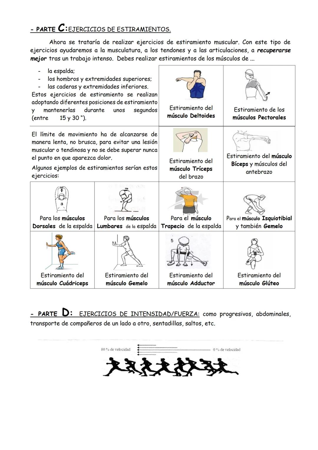 Departamento de Educación Física
TEMA
EL
CALENTAMIENTO
1º E.S.O.
1. INTRODUCCIÓN
Siempre que practicamos cualquier deporte o actividad físic