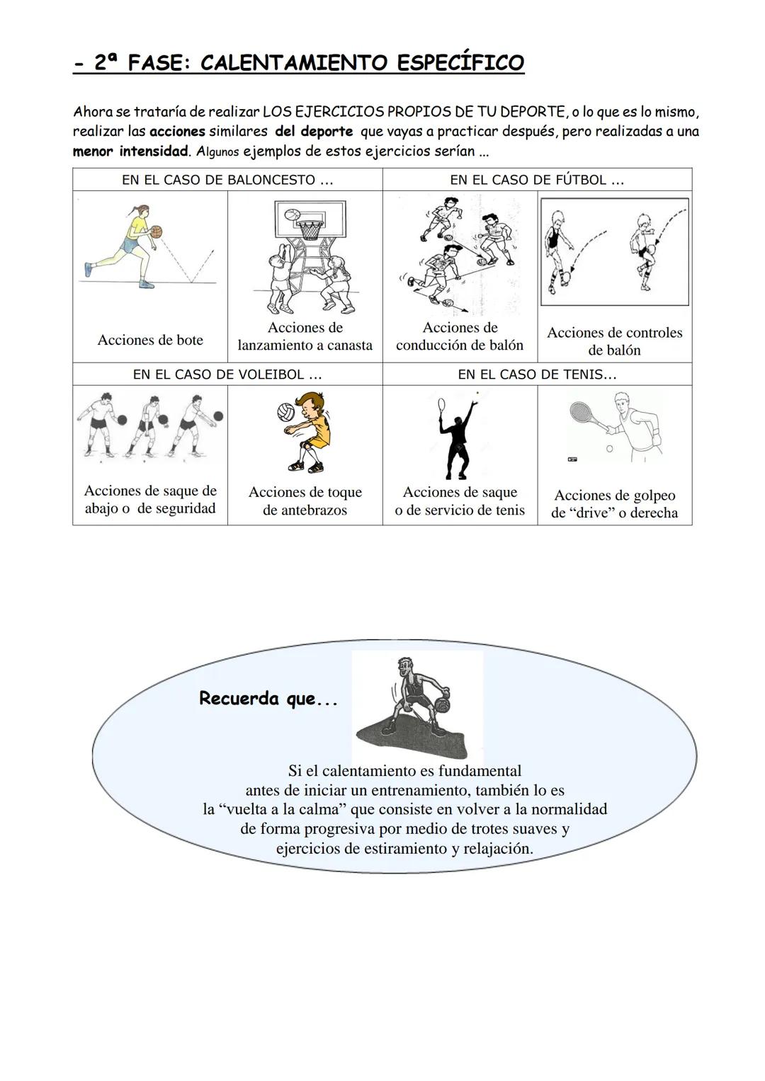 Departamento de Educación Física
TEMA
EL
CALENTAMIENTO
1º E.S.O.
1. INTRODUCCIÓN
Siempre que practicamos cualquier deporte o actividad físic