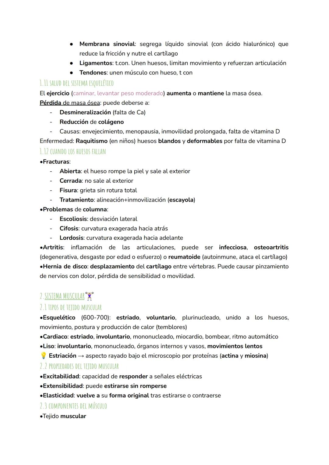 1. SISTEMA ESQUELÉTICO
1.1 CARACTERÍSTICAS
ANATOMÍA U7: SISTEMA MUSCULAR Y ESQUELÉTICO
El esqueleto humano está formado por 206 huesos. Sus