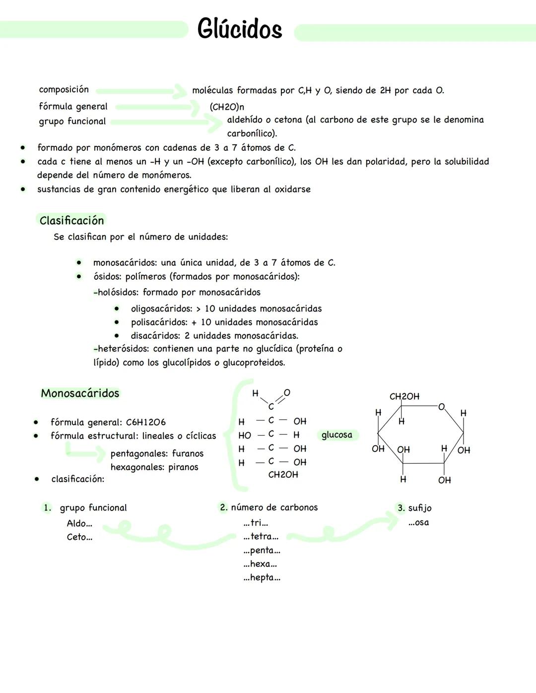 --- OCR Start ---
Glúcidos
composición
fórmula general
grupo funcional
moléculas formadas por C,H y O, siendo de 2H por cada O.
(CH2O)n
alde