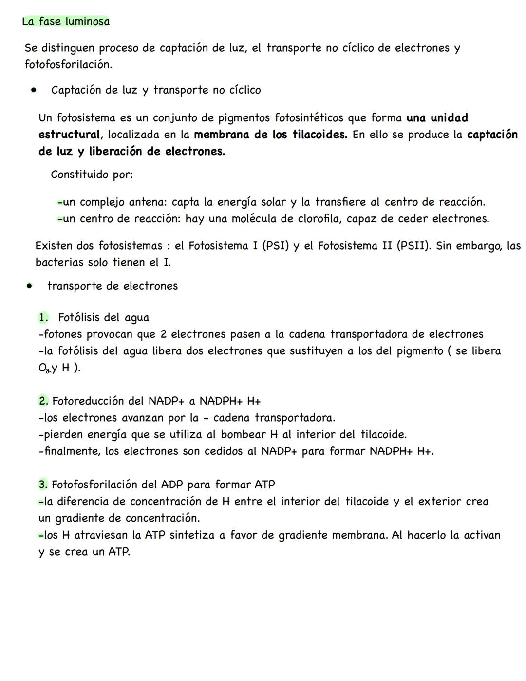 # Metabolismo
**Conceptos**
* **Metabolismo:** conjunto de reacciones químicas que se producen en el interior celular. Su función es obten