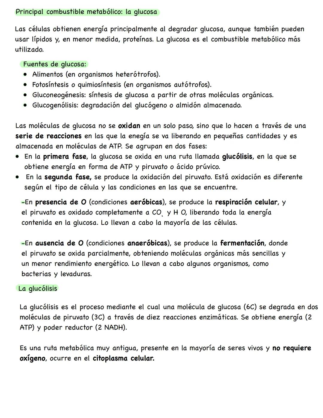 # Metabolismo
**Conceptos**
* **Metabolismo:** conjunto de reacciones químicas que se producen en el interior celular. Su función es obten