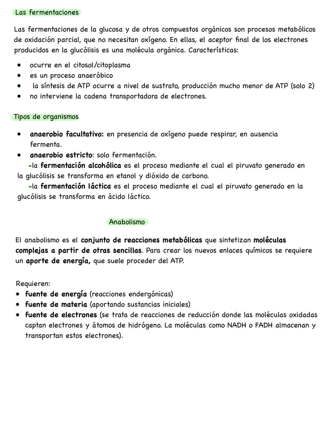 # Metabolismo
**Conceptos**
* **Metabolismo:** conjunto de reacciones químicas que se producen en el interior celular. Su función es obten