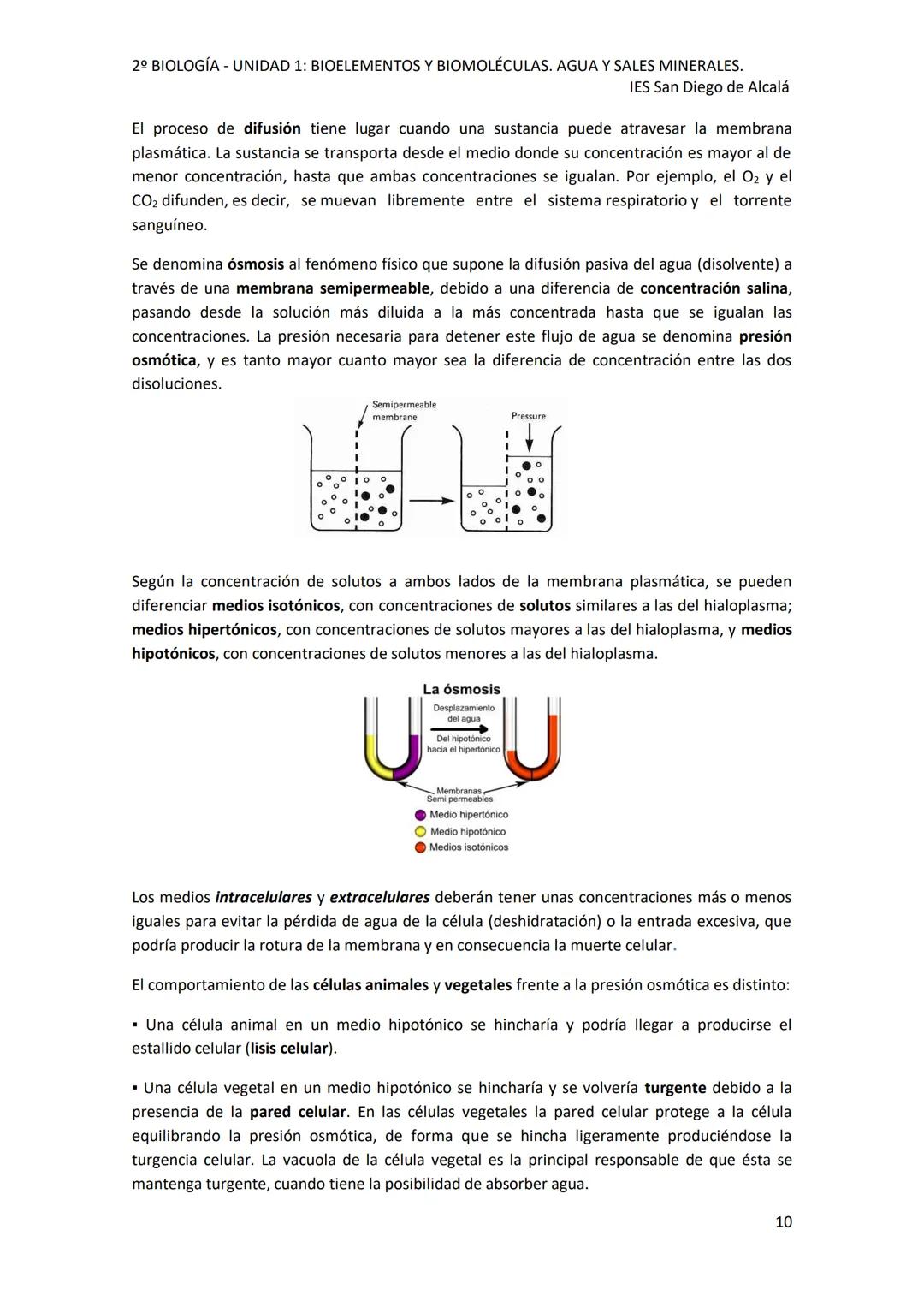 2º BIOLOGÍA - UNIDAD 1: BIOELEMENTOS Y BIOMOLÉCULAS. AGUA Y SALES MINERALES.
IES San Diego de Alcalá
UNIDAD 1: BIOELEMENTOS Y BIOMOLÉCULAS.