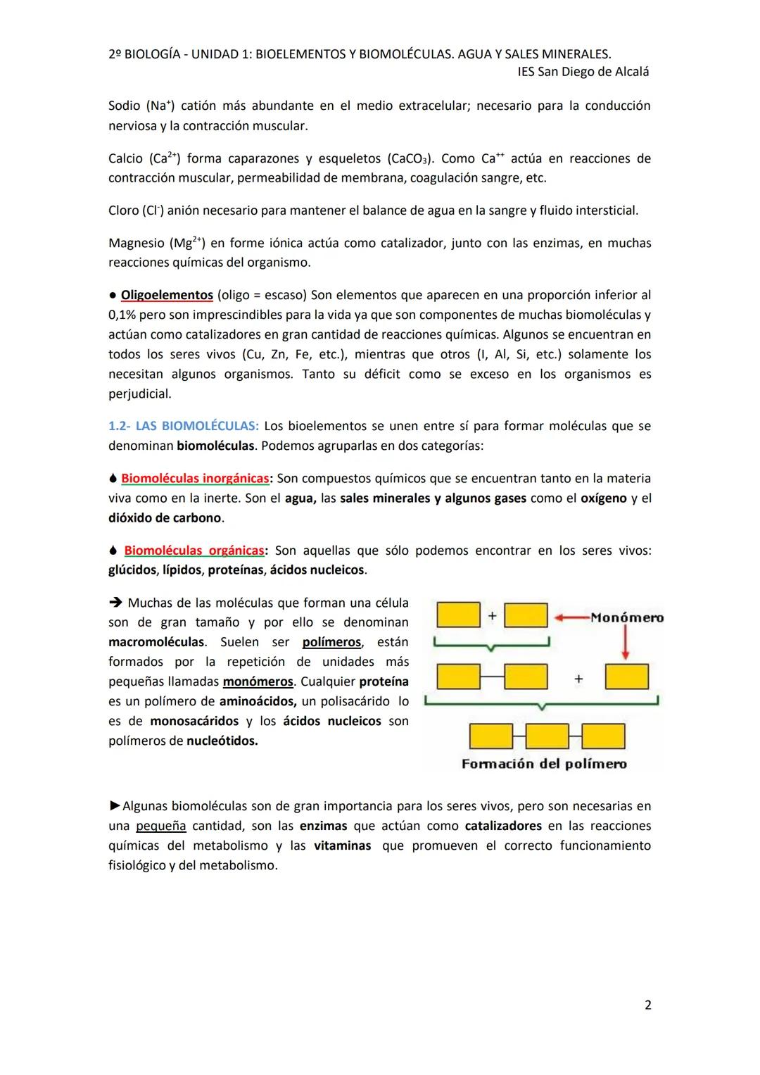 2º BIOLOGÍA - UNIDAD 1: BIOELEMENTOS Y BIOMOLÉCULAS. AGUA Y SALES MINERALES.
IES San Diego de Alcalá
UNIDAD 1: BIOELEMENTOS Y BIOMOLÉCULAS.