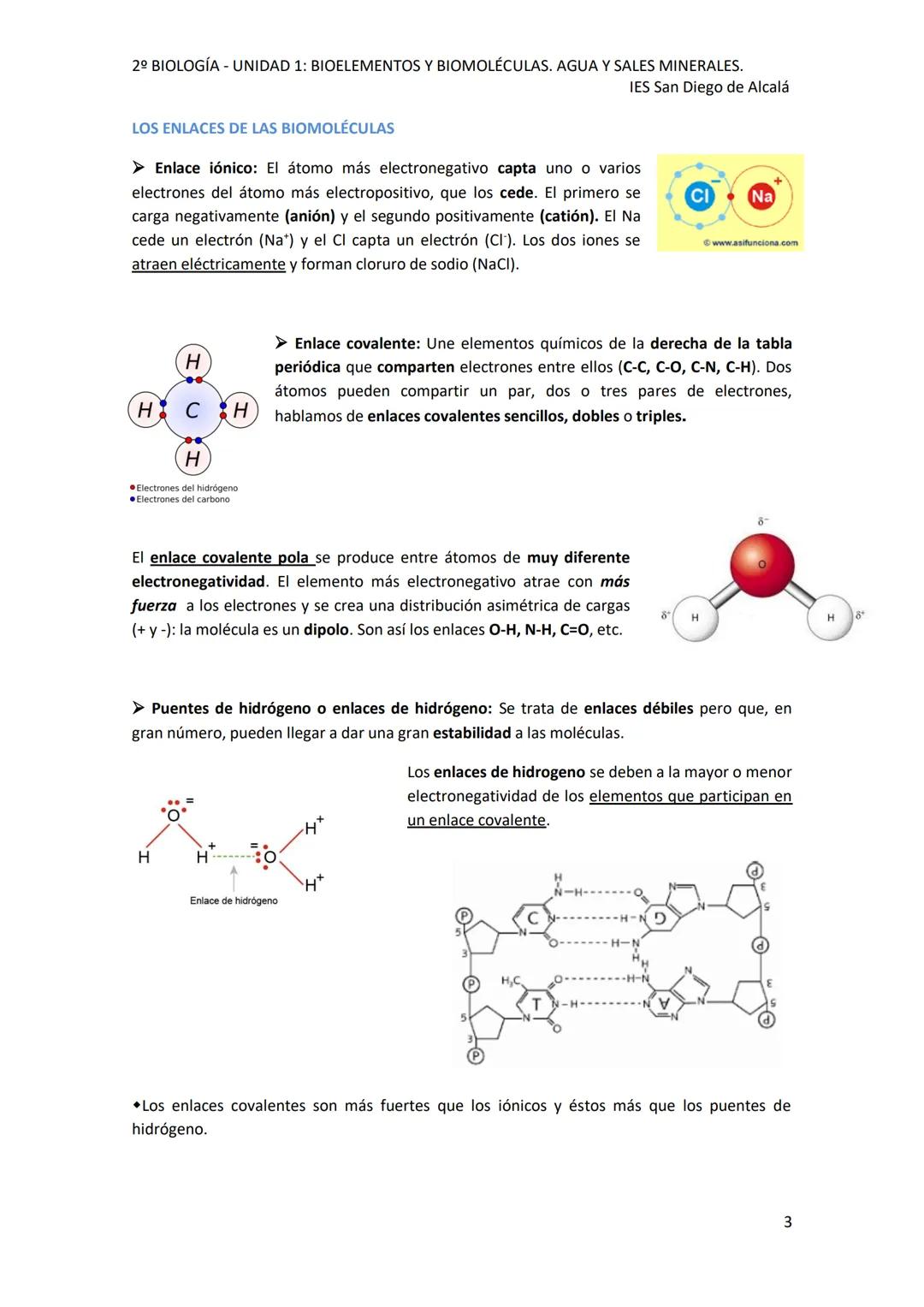 2º BIOLOGÍA - UNIDAD 1: BIOELEMENTOS Y BIOMOLÉCULAS. AGUA Y SALES MINERALES.
IES San Diego de Alcalá
UNIDAD 1: BIOELEMENTOS Y BIOMOLÉCULAS.