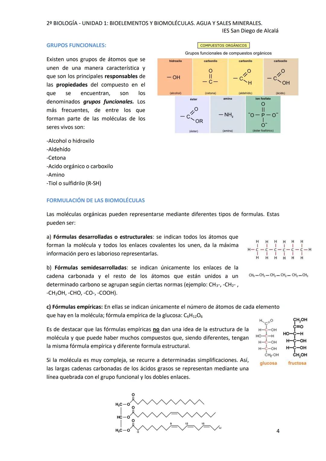 2º BIOLOGÍA - UNIDAD 1: BIOELEMENTOS Y BIOMOLÉCULAS. AGUA Y SALES MINERALES.
IES San Diego de Alcalá
UNIDAD 1: BIOELEMENTOS Y BIOMOLÉCULAS.