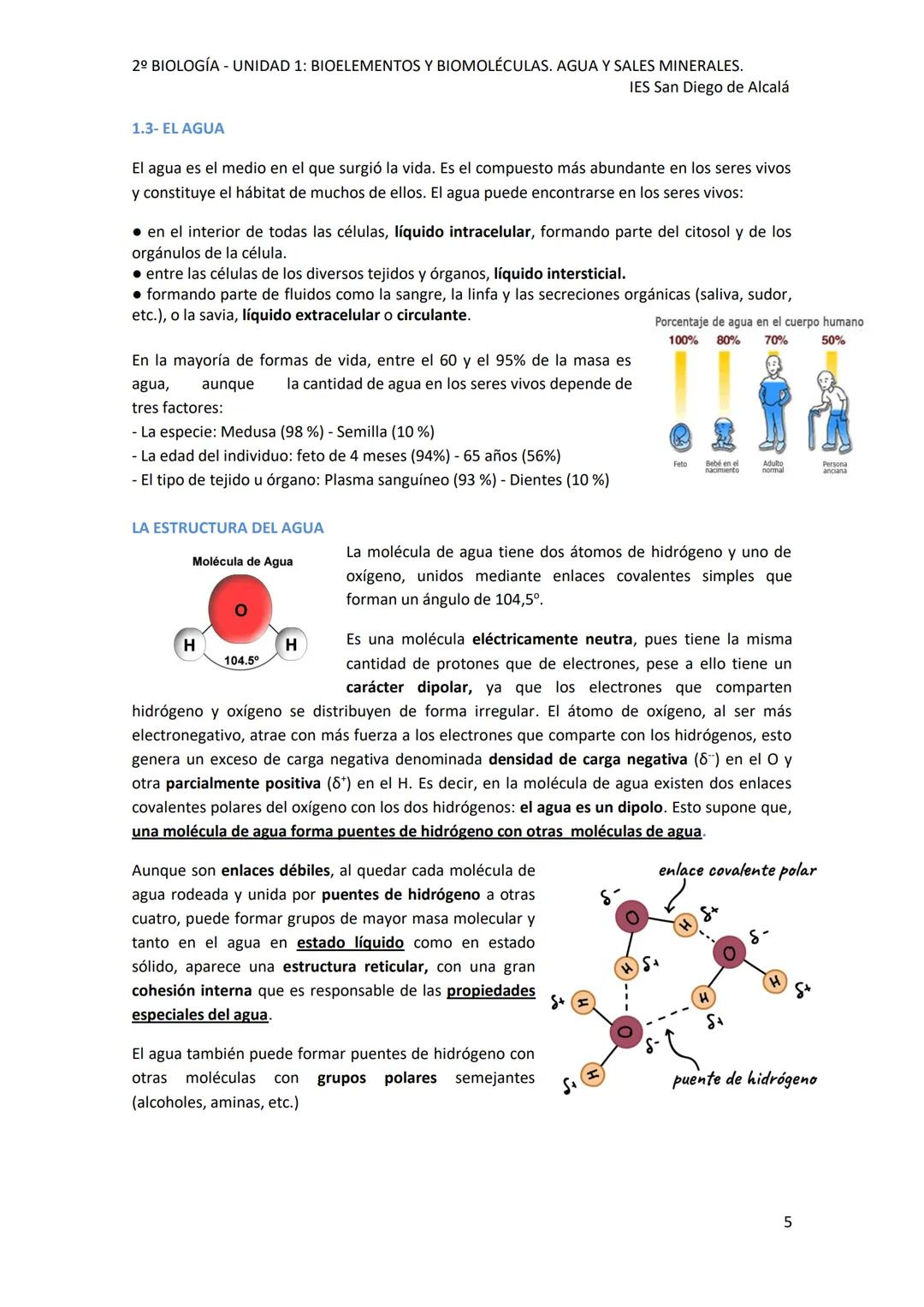 2º BIOLOGÍA - UNIDAD 1: BIOELEMENTOS Y BIOMOLÉCULAS. AGUA Y SALES MINERALES.
IES San Diego de Alcalá
UNIDAD 1: BIOELEMENTOS Y BIOMOLÉCULAS.