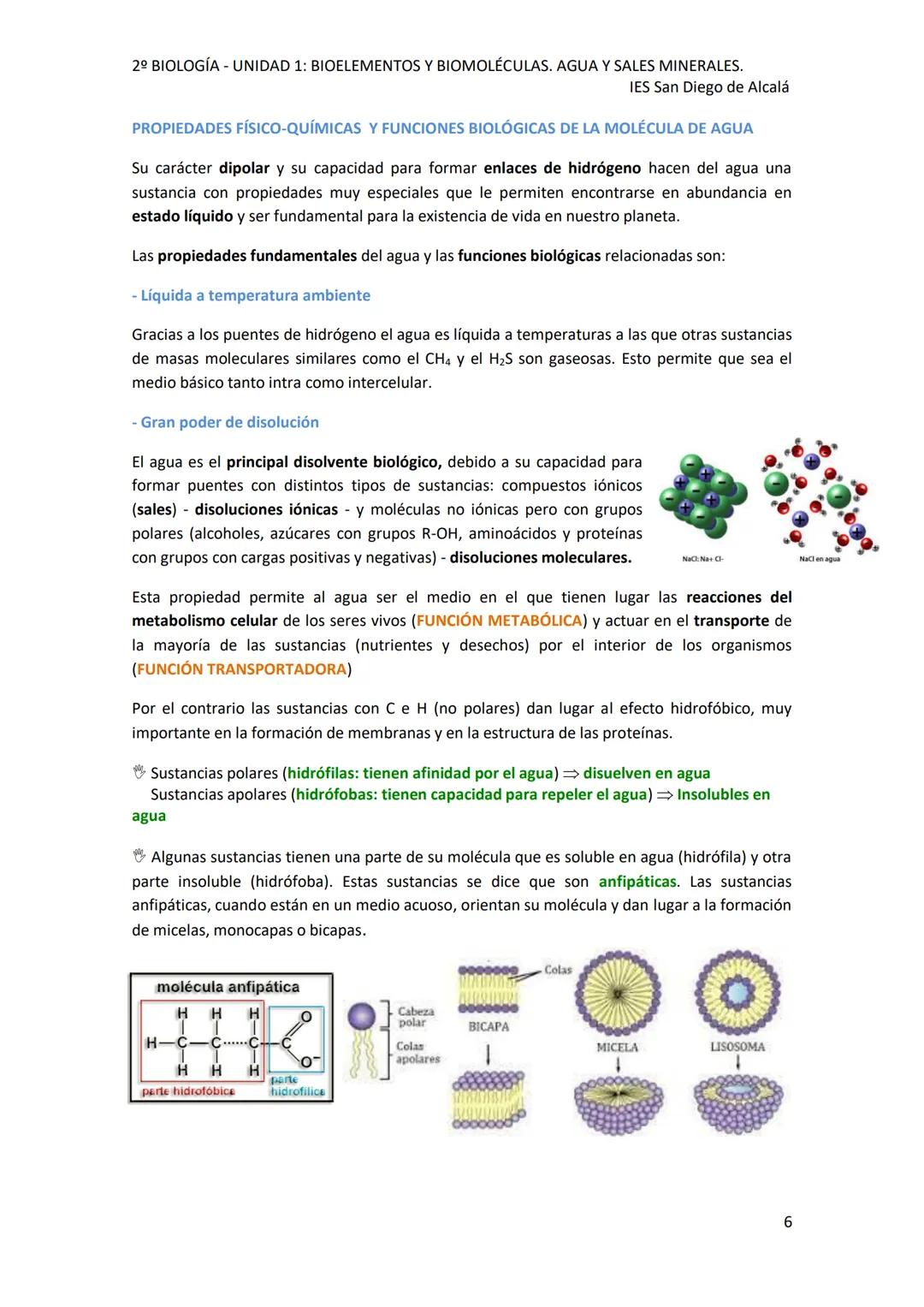 2º BIOLOGÍA - UNIDAD 1: BIOELEMENTOS Y BIOMOLÉCULAS. AGUA Y SALES MINERALES.
IES San Diego de Alcalá
UNIDAD 1: BIOELEMENTOS Y BIOMOLÉCULAS.