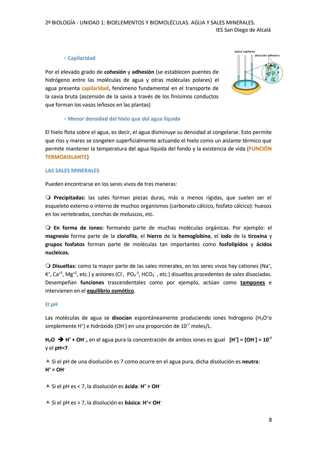 2º BIOLOGÍA - UNIDAD 1: BIOELEMENTOS Y BIOMOLÉCULAS. AGUA Y SALES MINERALES.
IES San Diego de Alcalá
UNIDAD 1: BIOELEMENTOS Y BIOMOLÉCULAS.