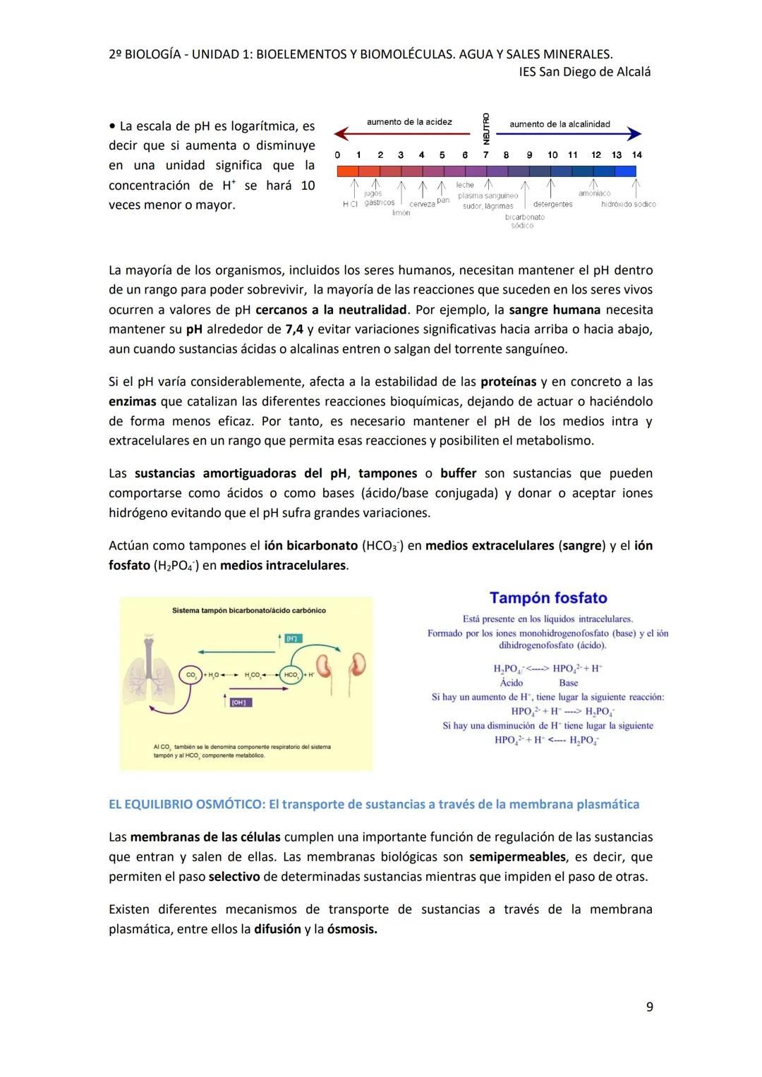 2º BIOLOGÍA - UNIDAD 1: BIOELEMENTOS Y BIOMOLÉCULAS. AGUA Y SALES MINERALES.
IES San Diego de Alcalá
UNIDAD 1: BIOELEMENTOS Y BIOMOLÉCULAS.