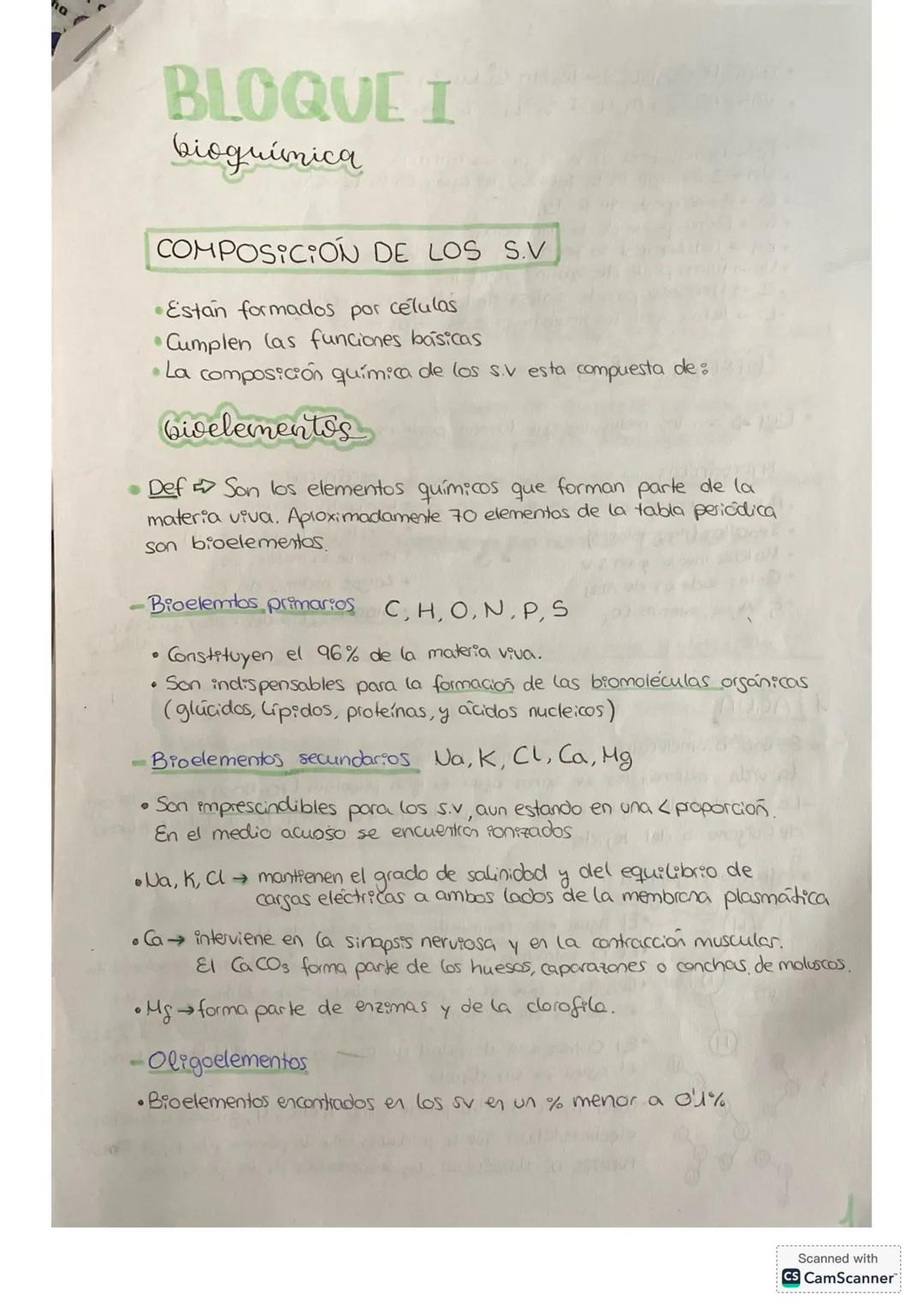 BLOQUE I
bioguímica
COMPOSICIÓN DE LOS S.V
• Están formados por células
• Cumplen las funciones básicas
• La composición química de los s.v