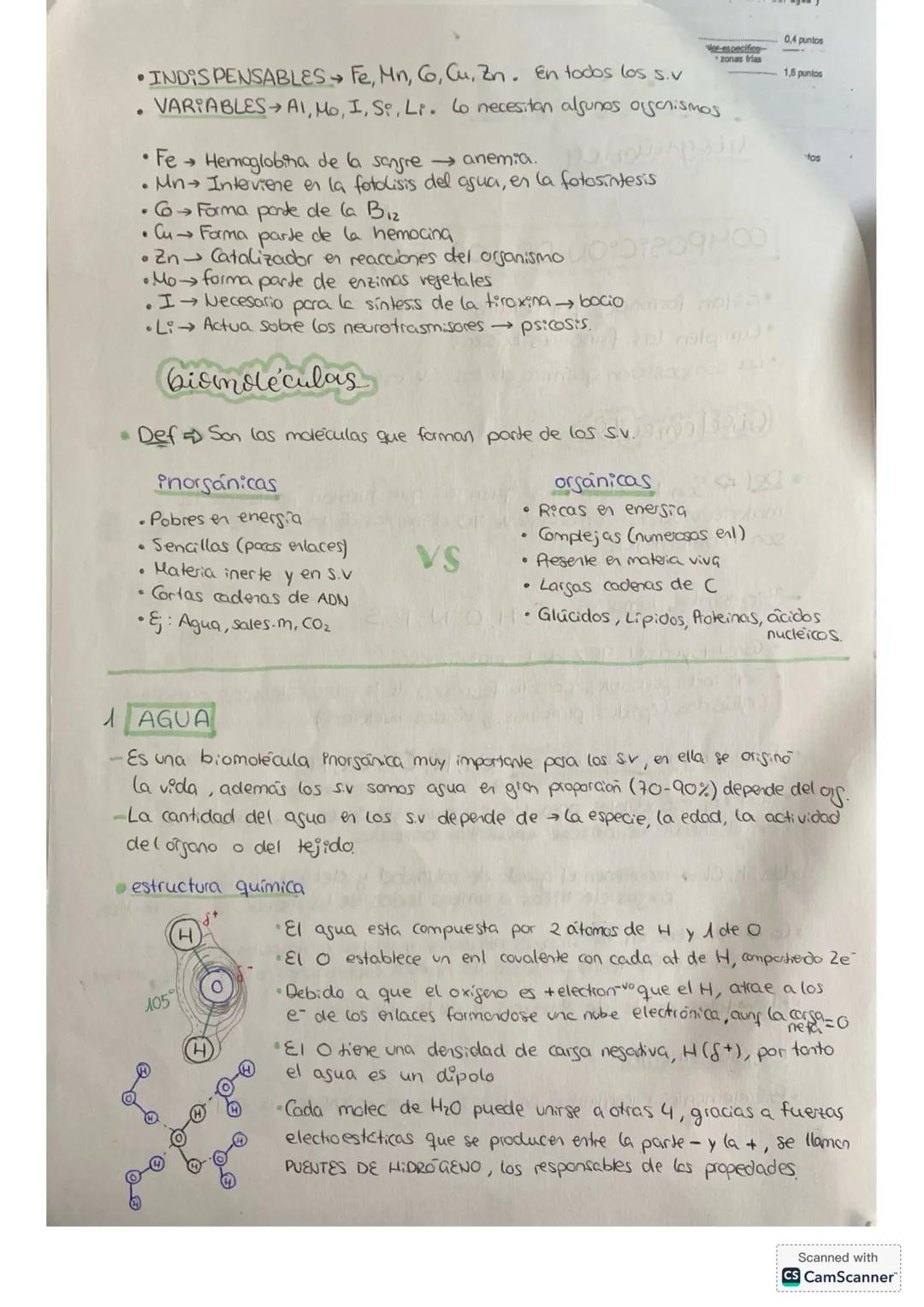 BLOQUE I
bioguímica
COMPOSICIÓN DE LOS S.V
• Están formados por células
• Cumplen las funciones básicas
• La composición química de los s.v