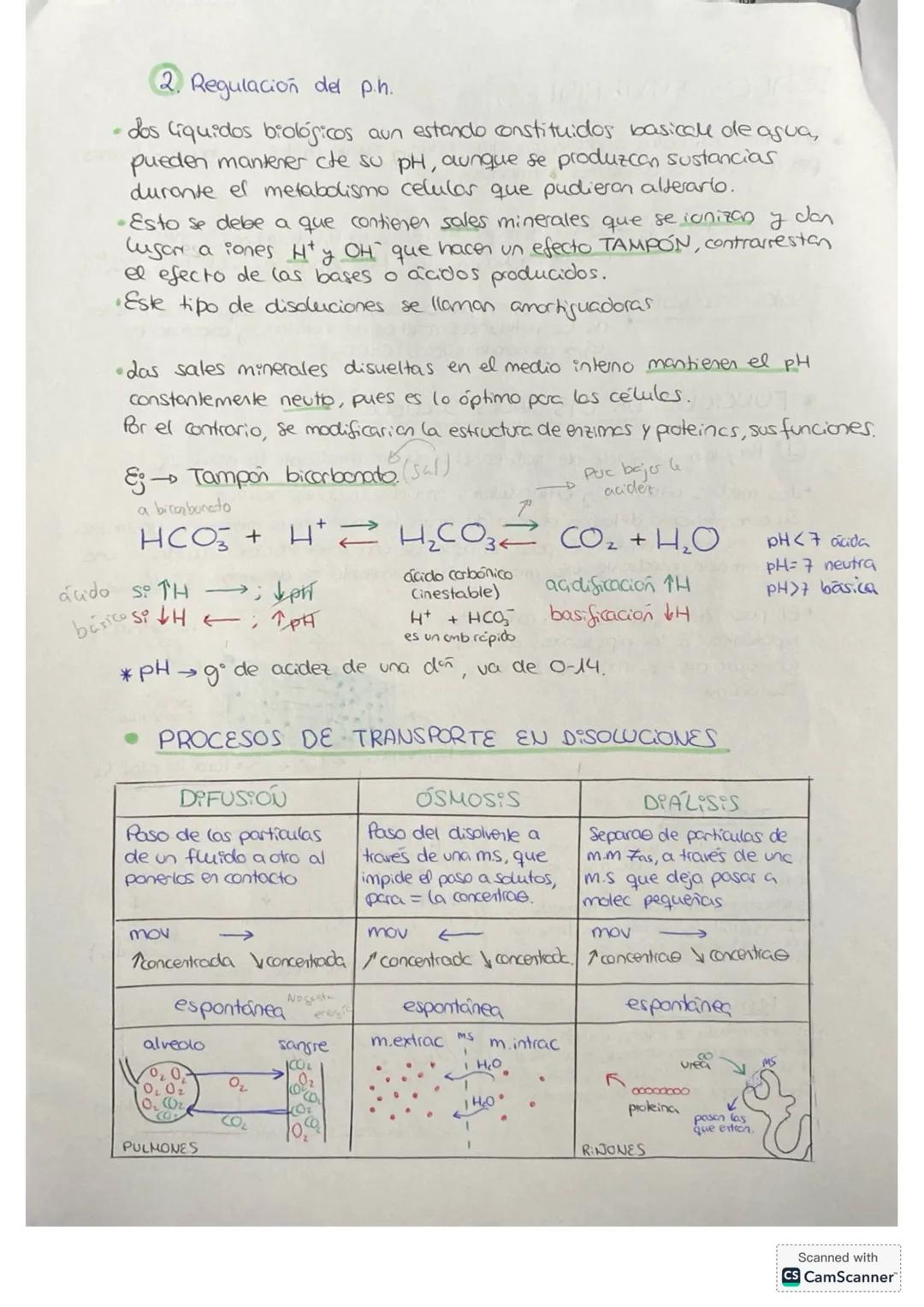 BLOQUE I
bioguímica
COMPOSICIÓN DE LOS S.V
• Están formados por células
• Cumplen las funciones básicas
• La composición química de los s.v