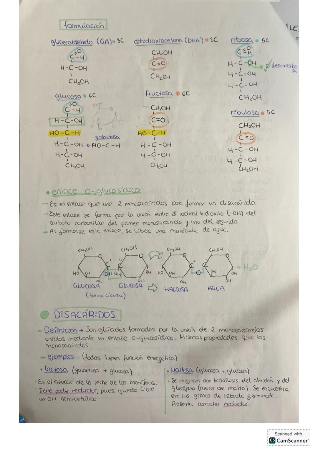 BLOQUE I
bioguímica
COMPOSICIÓN DE LOS S.V
• Están formados por células
• Cumplen las funciones básicas
• La composición química de los s.v