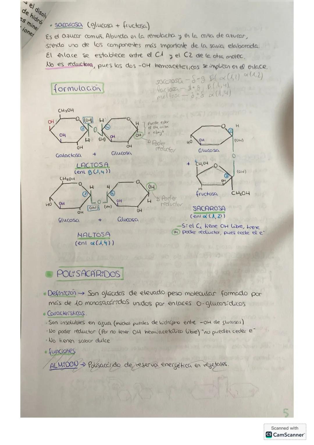 BLOQUE I
bioguímica
COMPOSICIÓN DE LOS S.V
• Están formados por células
• Cumplen las funciones básicas
• La composición química de los s.v