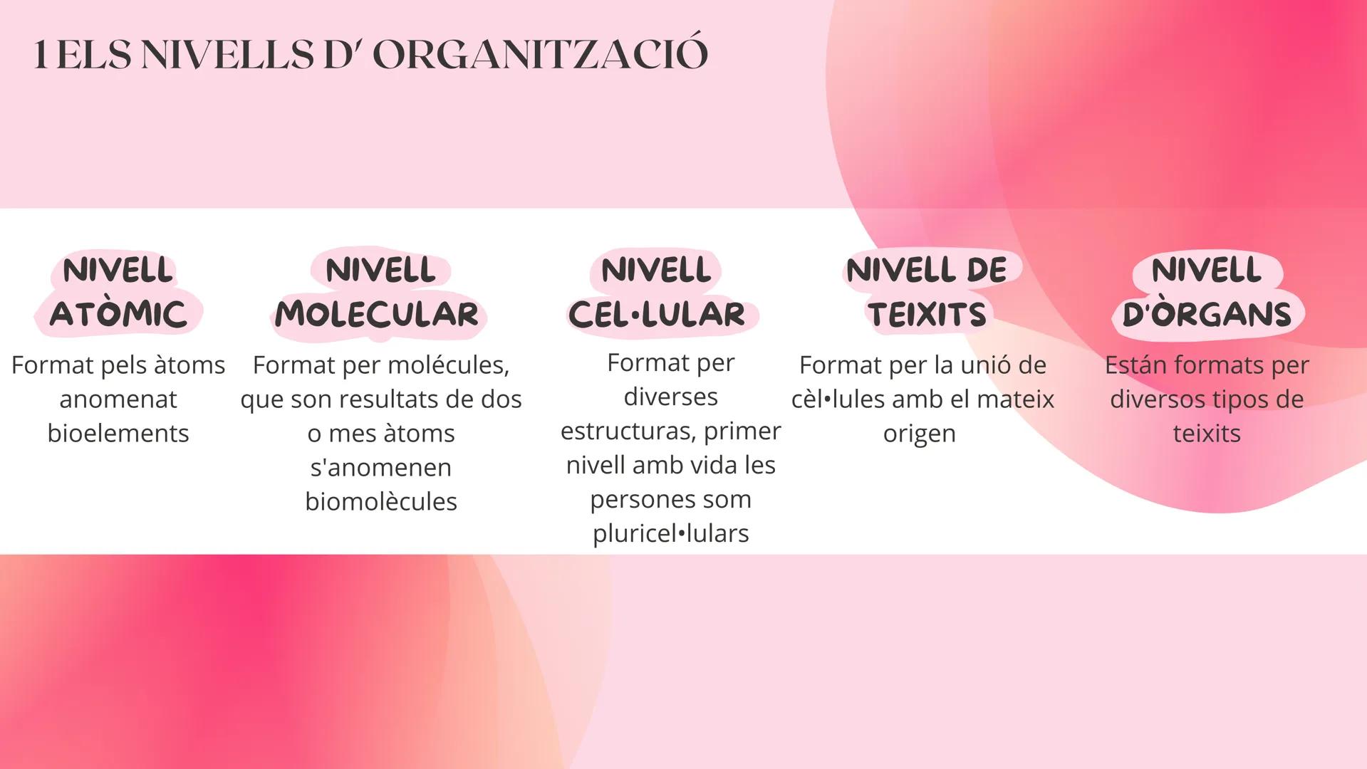 # TEMA 1
EL COS HUMÁ 1 ELS NIVELLS D'ORGANITZACIÓ
NIVELL
ATOMIC
Format pels àtoms
anomenat
bioelements
NIVELL
MOLECULAR
Format per molécu