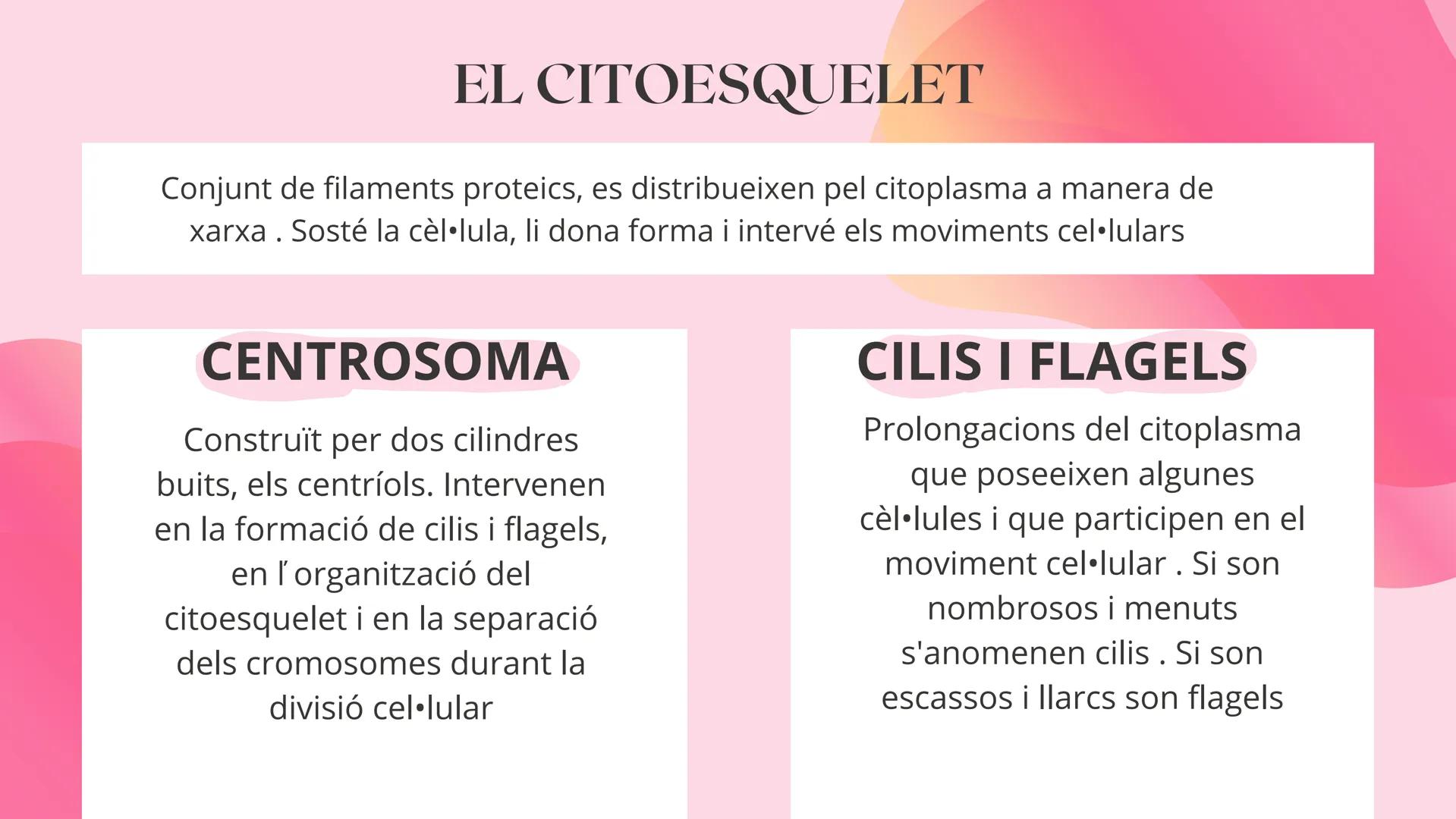 # TEMA 1
EL COS HUMÁ 1 ELS NIVELLS D'ORGANITZACIÓ
NIVELL
ATOMIC
Format pels àtoms
anomenat
bioelements
NIVELL
MOLECULAR
Format per molécu