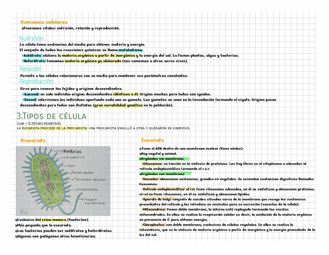 ## NOTEBOOK # Origen de la vida
## 1. ¿Qué es la vida?
Un ser vivo es un ecosistema organizado que intercambia materia y energía.Estamos fo