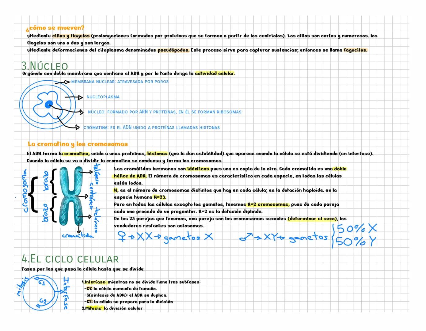 ## NOTEBOOK # Origen de la vida
## 1. ¿Qué es la vida?
Un ser vivo es un ecosistema organizado que intercambia materia y energía.Estamos fo
