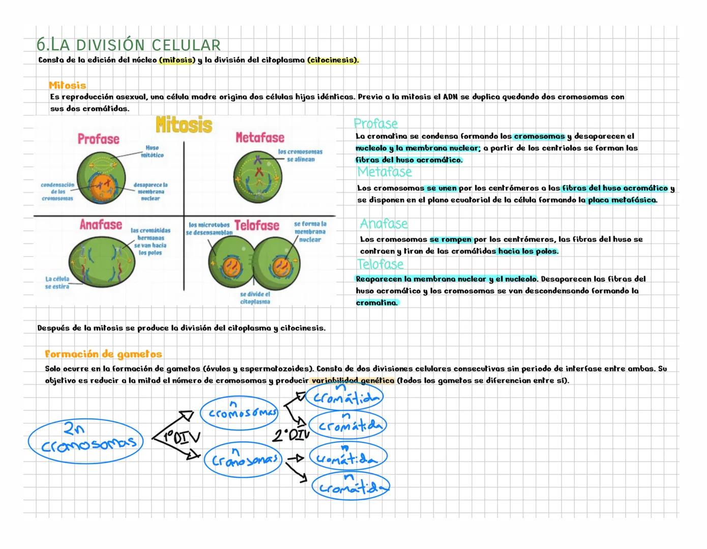 ## NOTEBOOK # Origen de la vida
## 1. ¿Qué es la vida?
Un ser vivo es un ecosistema organizado que intercambia materia y energía.Estamos fo