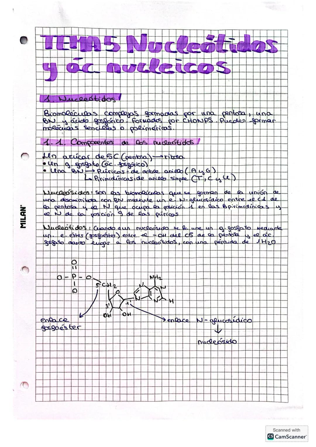 # TEMA 5 Nucleótidos
y ác nucleicos
1. Nucleótidos
Biomoléculas complejas formadas por una pentosa, una
BN y ácido fosfórico, formados por