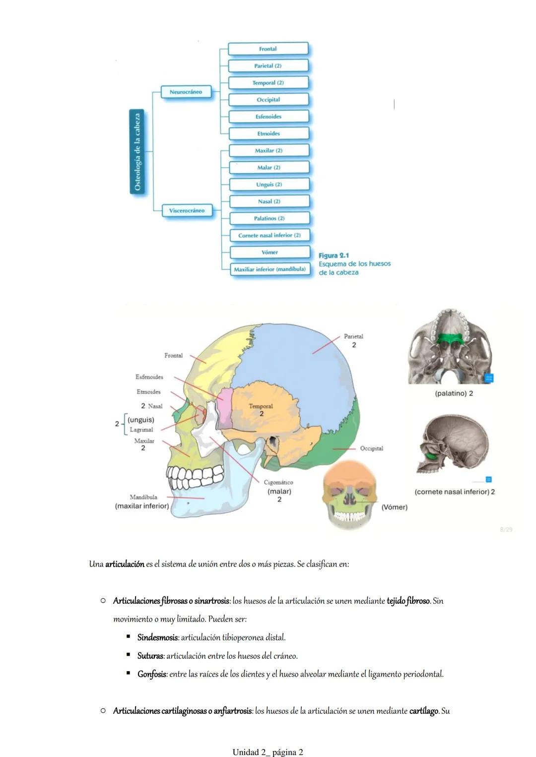 Pt 1. Estructuras óseas del cráneo y la cara.
1. Introducción.
2. Anatomía descriptiva del cráneo.
3. Osteología craneofacial.
1. Introduc