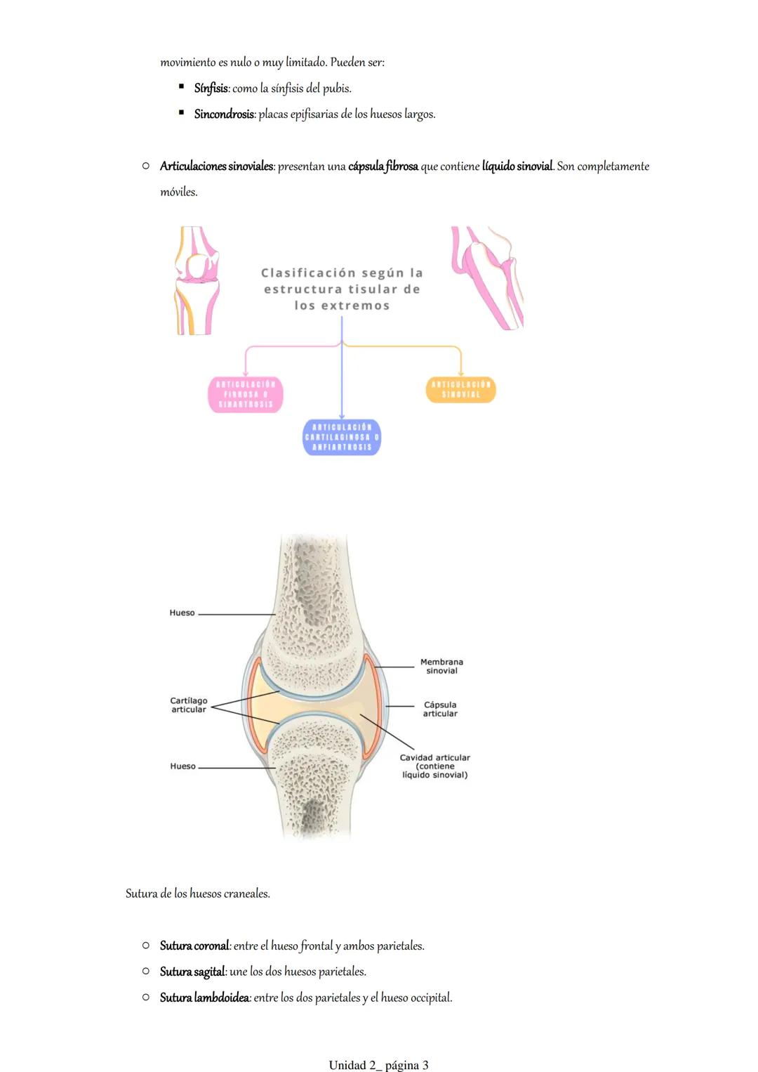 Pt 1. Estructuras óseas del cráneo y la cara.
1. Introducción.
2. Anatomía descriptiva del cráneo.
3. Osteología craneofacial.
1. Introduc