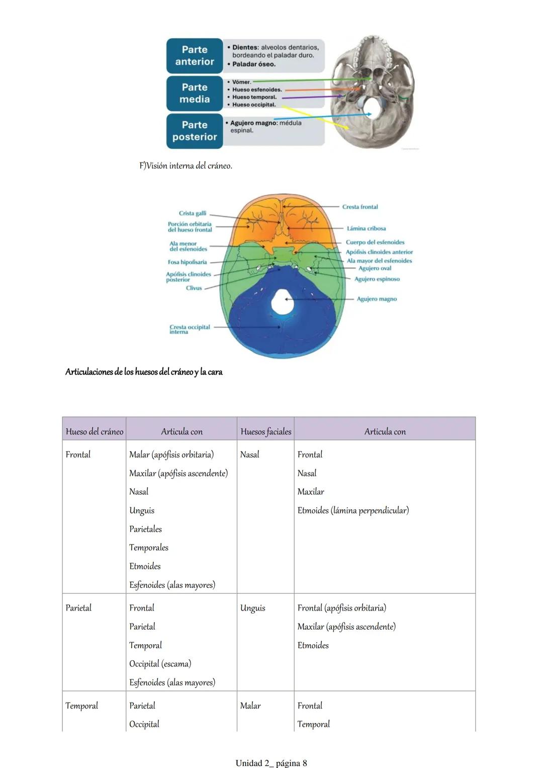 Pt 1. Estructuras óseas del cráneo y la cara.
1. Introducción.
2. Anatomía descriptiva del cráneo.
3. Osteología craneofacial.
1. Introduc