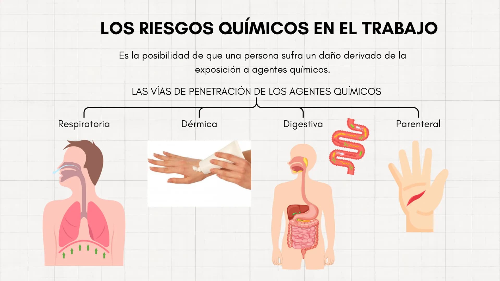 ## ESQUEMAS
TEMA 3 LOS RIESGOS FÍSICOS EN EL TRABAJO
-Hay 3 tipos de contaminantes:
FÍSICOS
QUÍMICOS
BIOLÓGICOS
• Ruido
• Gas
• Virus
• vibr