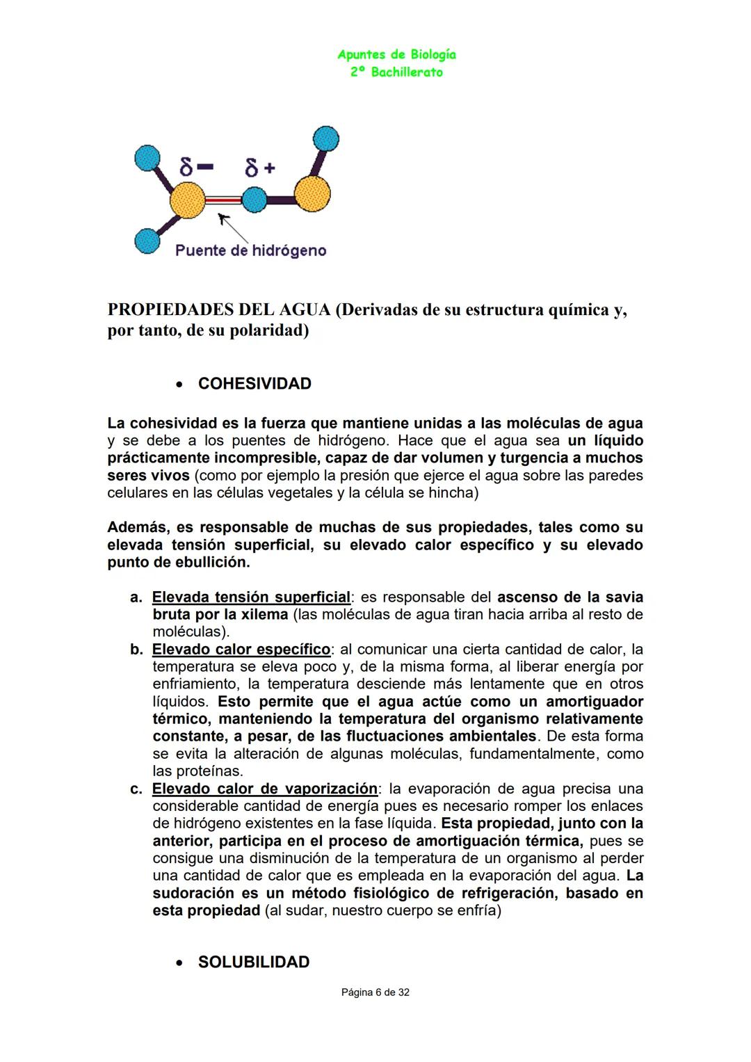 Apuntes de Biología
2º Bachillerato
Bloque A: LAS BIOMOLÉCULAS
BIOELEMENTOS O ELEMENTOS BIOGÉNICOS
Son los elementos que forman parte de los