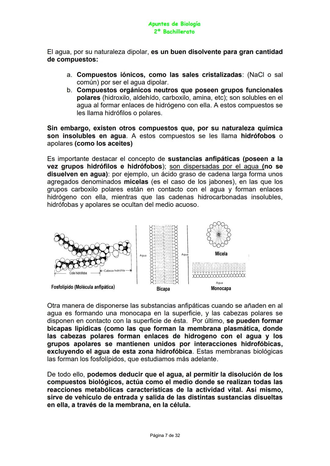 Apuntes de Biología
2º Bachillerato
Bloque A: LAS BIOMOLÉCULAS
BIOELEMENTOS O ELEMENTOS BIOGÉNICOS
Son los elementos que forman parte de los