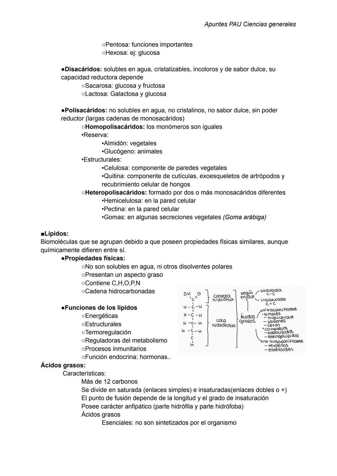 Apuntes PAU Ciencias generales
ECOLOGÍA:
☆ECOSISTEMAS:
Es el conjunto de seres vivos y factores ambientales que existen en una zona determin